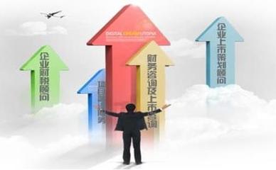 北京市優(yōu)質(zhì)企業(yè)績效管理與績效考核咨詢服務(wù)指南 發(fā)展與關(guān)鍵要素