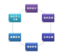 北京智鼎管理咨詢 專業(yè)護(hù)航，驅(qū)動(dòng)企業(yè)卓越成長(zhǎng)